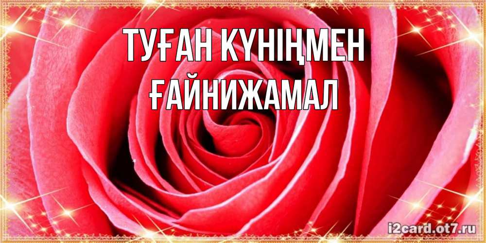 Күн сайын ашық хат с именем, ҒАЙНИЖАМАЛ Туған күніңмен розовая роза очень крупный бутон Онлайн тегін жүктеп алу тілектері бар керемет карта 