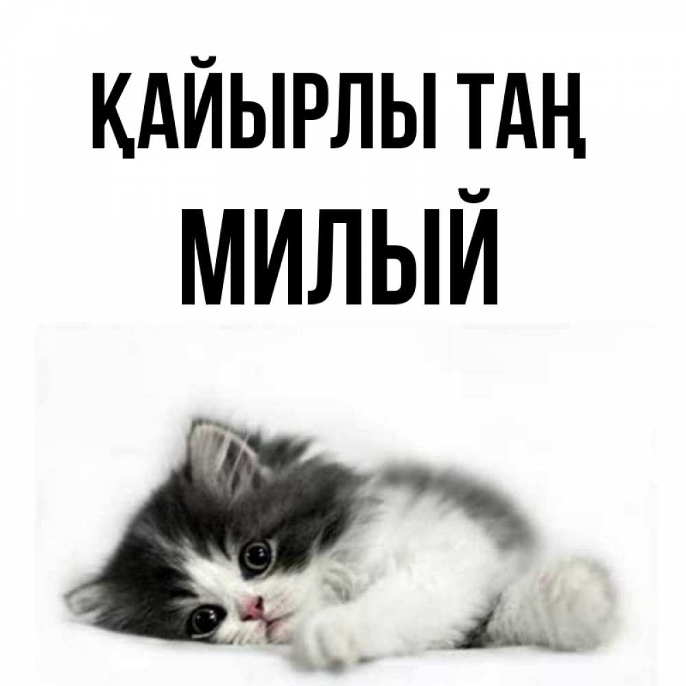 Күн сайын ашық хат с именем, Милый Қайырлы таң кот лапки Онлайн тегін жүктеп алу тілектері бар керемет карта 