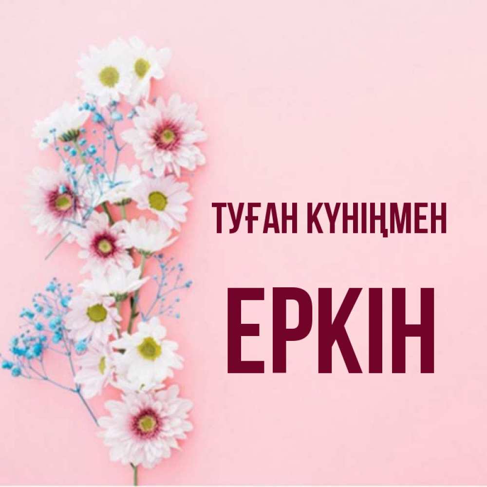 Күн сайын ашық хат с именем, Еркін Туған күніңмен Родная моя с днем рождения тебя картинка с цветами белыми и голубыми Онлайн тегін жүктеп алу тілектері бар керемет карта 