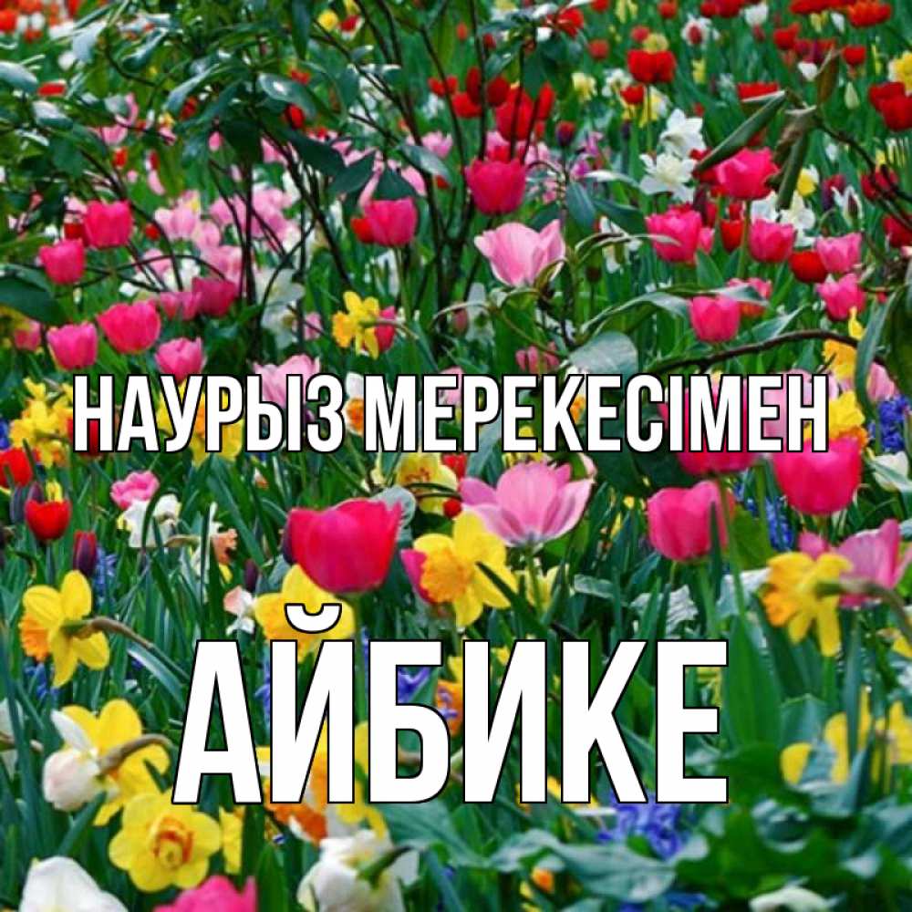 Күн сайын ашық хат с именем, АЙБИКЕ Наурыз мерекесімен с наурызом праздником весны поздравления для женщины Онлайн тегін жүктеп алу тілектері бар керемет карта 