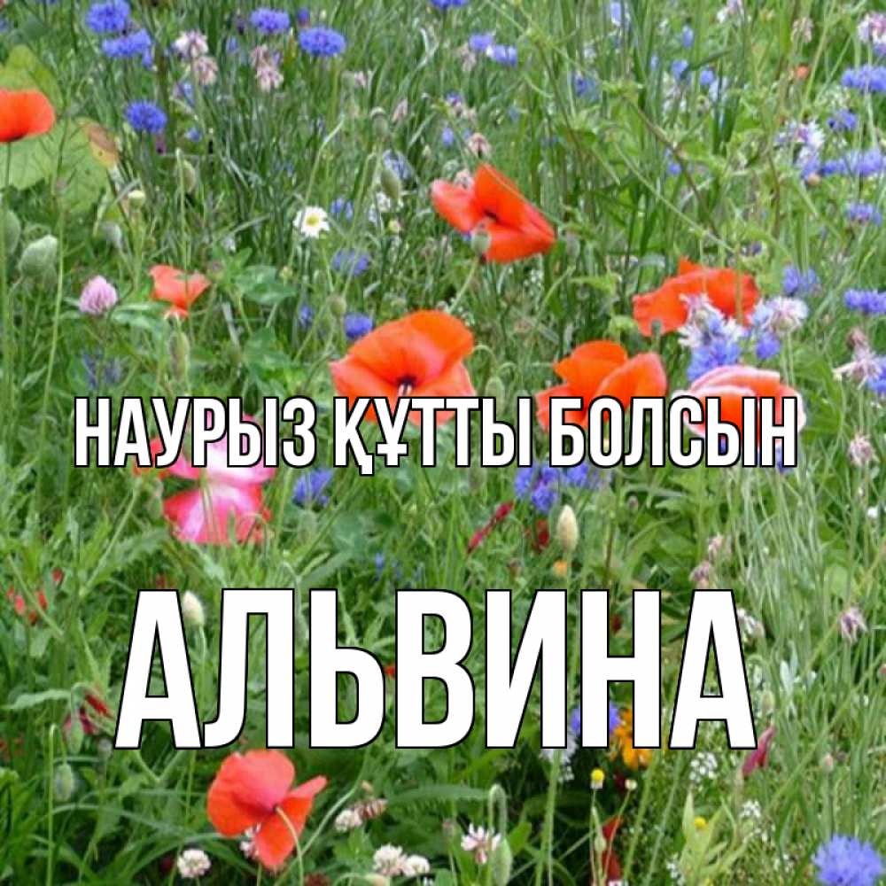 Күн сайын ашық хат с именем, Альвина Наурыз құтты болсын наурыз  4 Онлайн тегін жүктеп алу тілектері бар керемет карта 