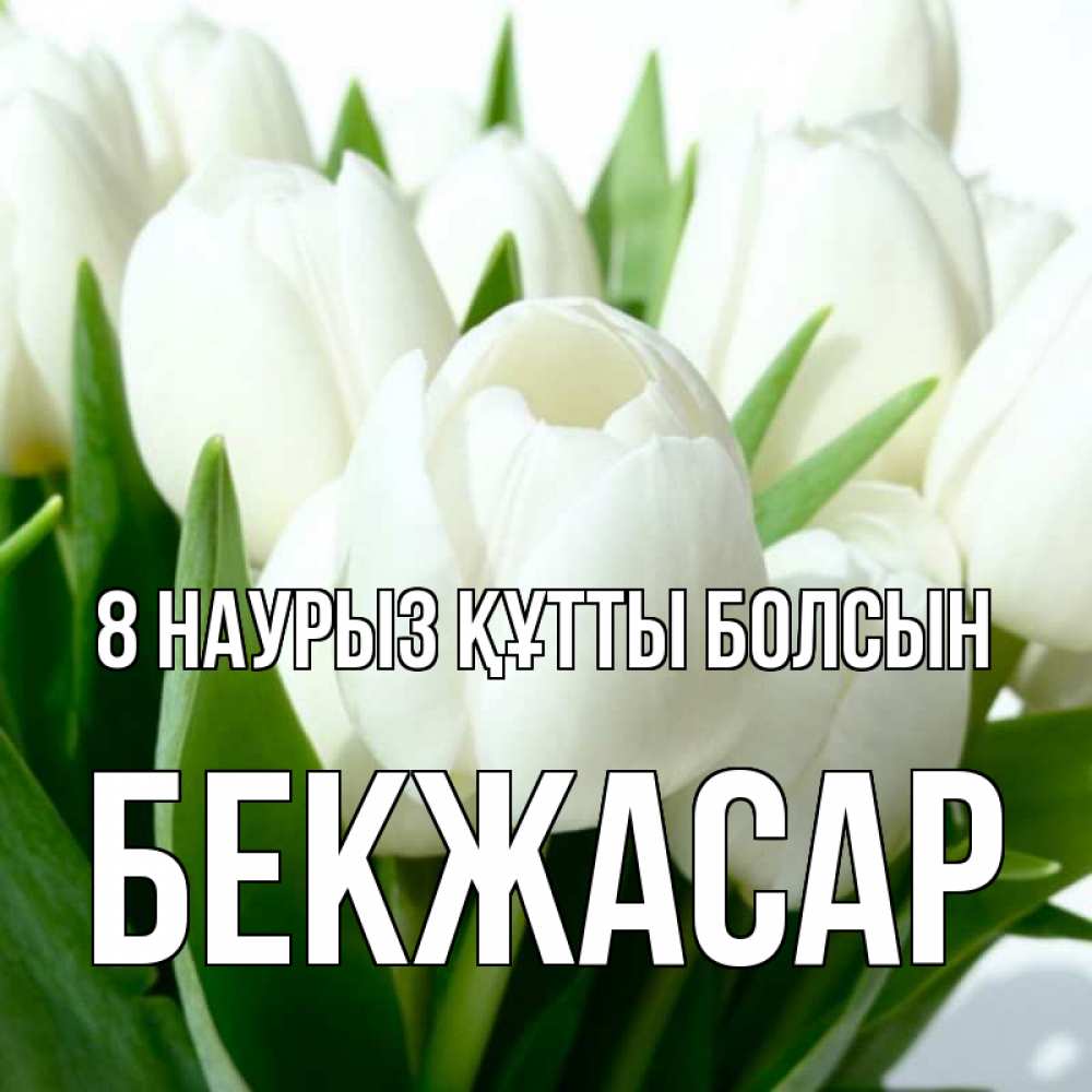 Күн сайын ашық хат с именем, Бекжасар 8 наурыз құтты болсын цветы Онлайн тегін жүктеп алу тілектері бар керемет карта 