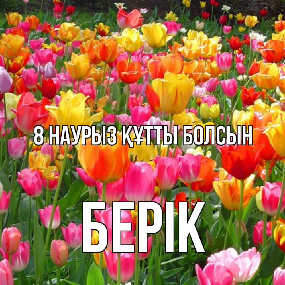 Күн сайын ашық хат с именем, Берік 8 наурыз құтты болсын на международный женский день Онлайн тегін жүктеп алу тілектері бар керемет карта 
