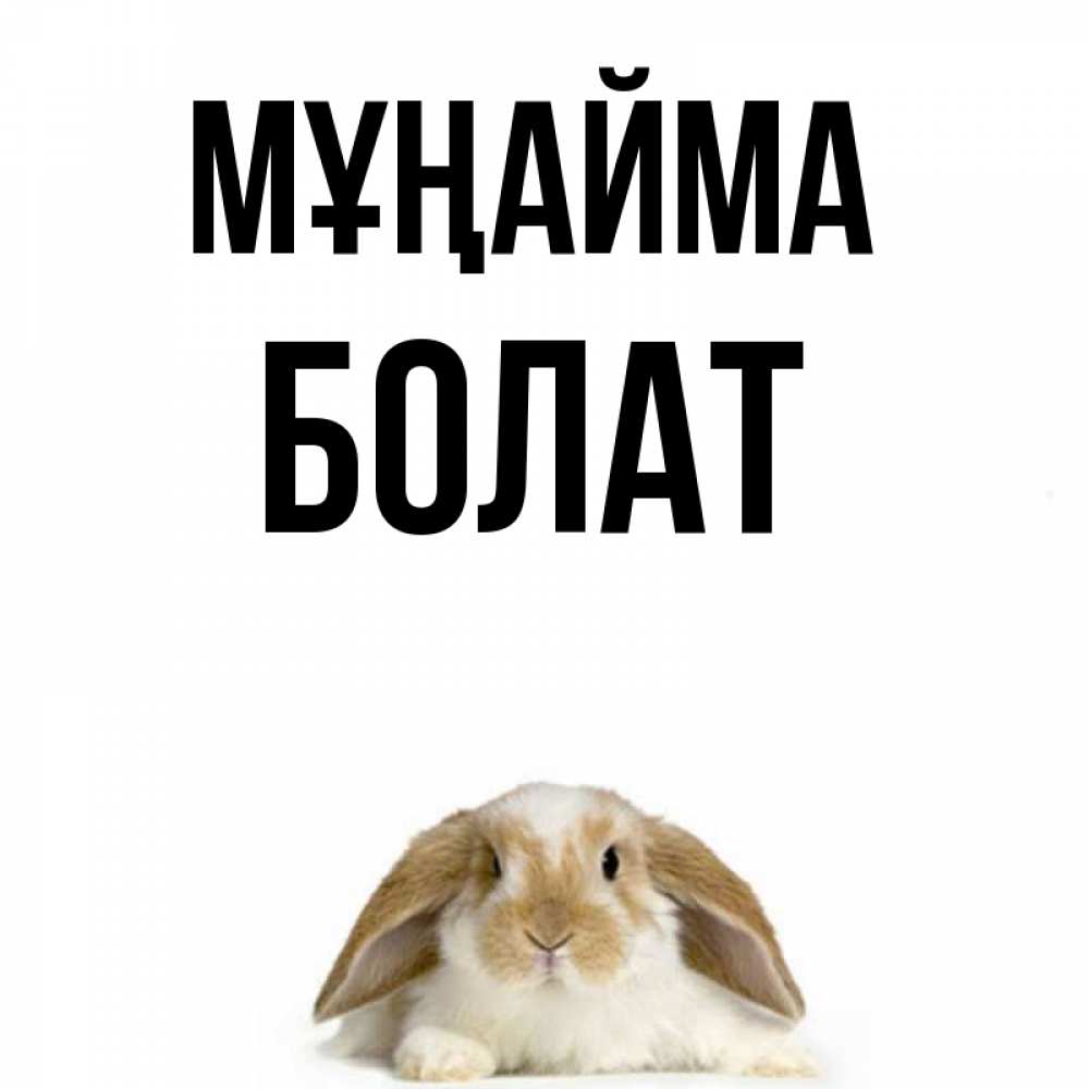 Күн сайын ашық хат с именем, Болат Мұңайма коричнево белый заяц с большими ушками Онлайн тегін жүктеп алу тілектері бар керемет карта 
