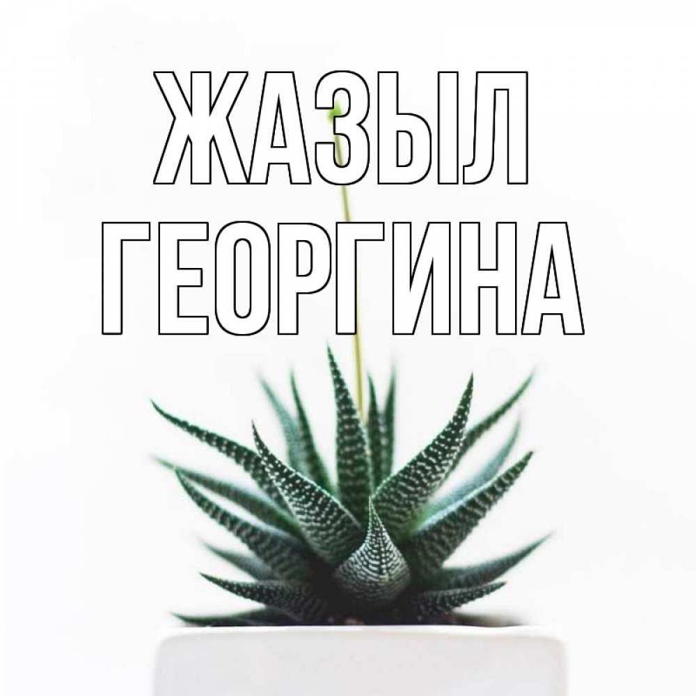 Күн сайын ашық хат с именем, Георгина Жазыл короче это непонятная колючка Онлайн тегін жүктеп алу тілектері бар керемет карта 