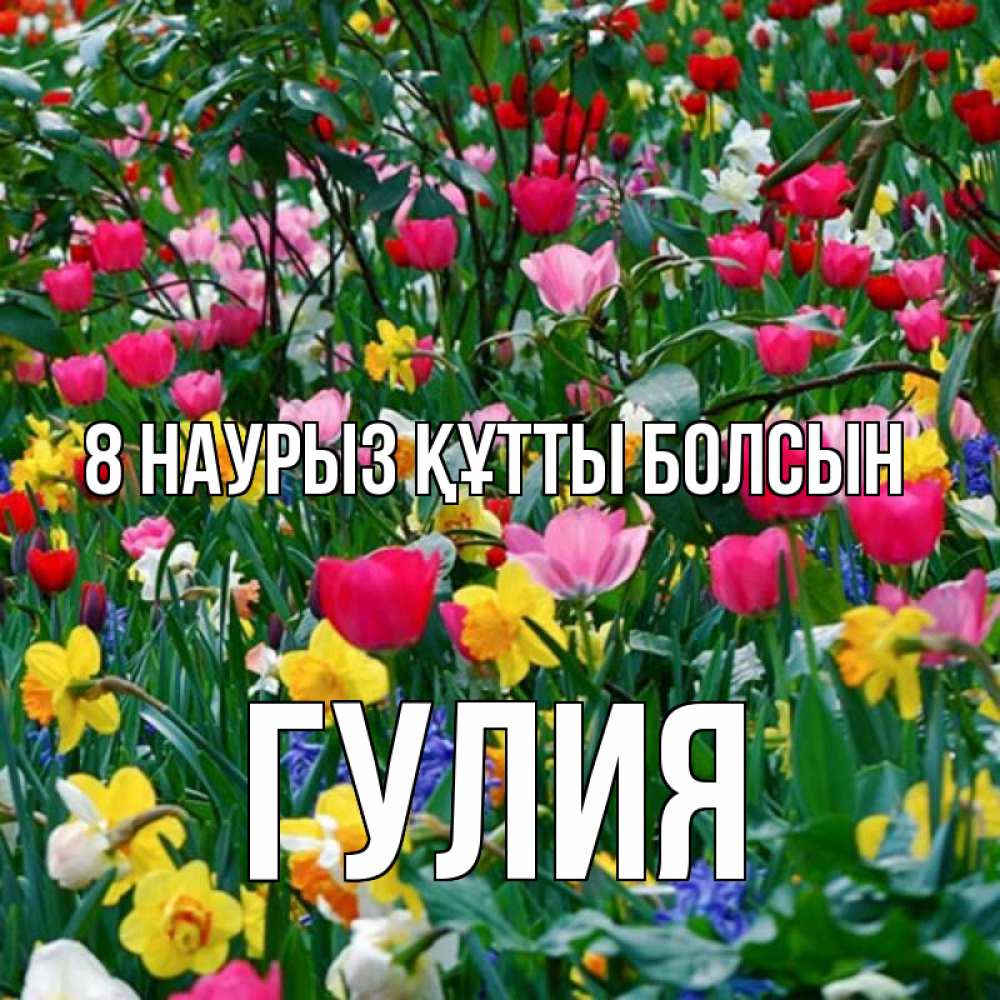 Күн сайын ашық хат с именем, Гулия 8 наурыз құтты болсын с международным женским днем поздравления для женщины Онлайн тегін жүктеп алу тілектері бар керемет карта 
