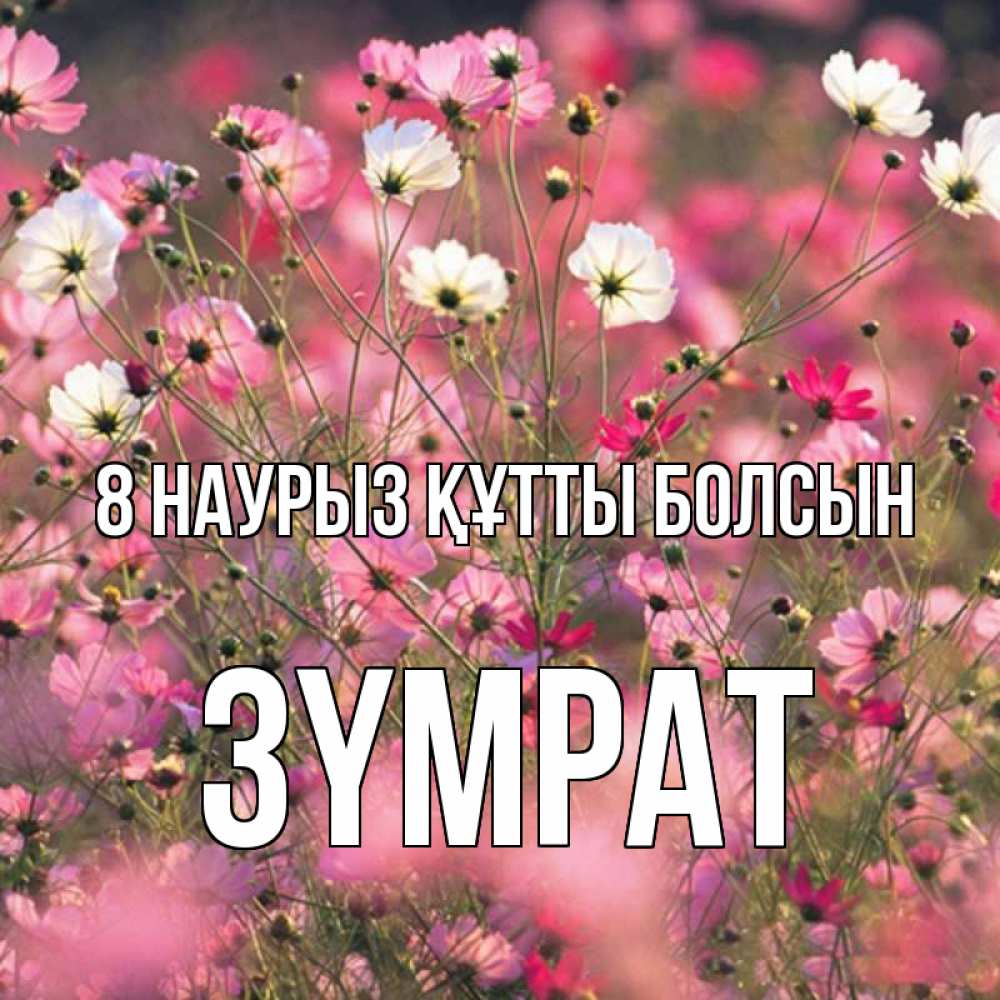 Күн сайын ашық хат с именем, ЗҮМРАТ 8 наурыз құтты болсын красиво 1 Онлайн тегін жүктеп алу тілектері бар керемет карта 