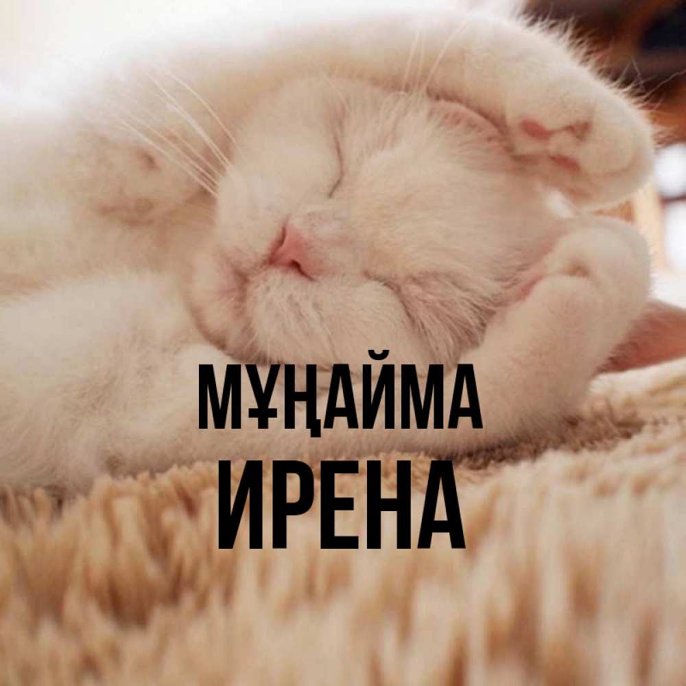 Күн сайын ашық хат с именем, Ирена Мұңайма Котенок спит Онлайн тегін жүктеп алу тілектері бар керемет карта 