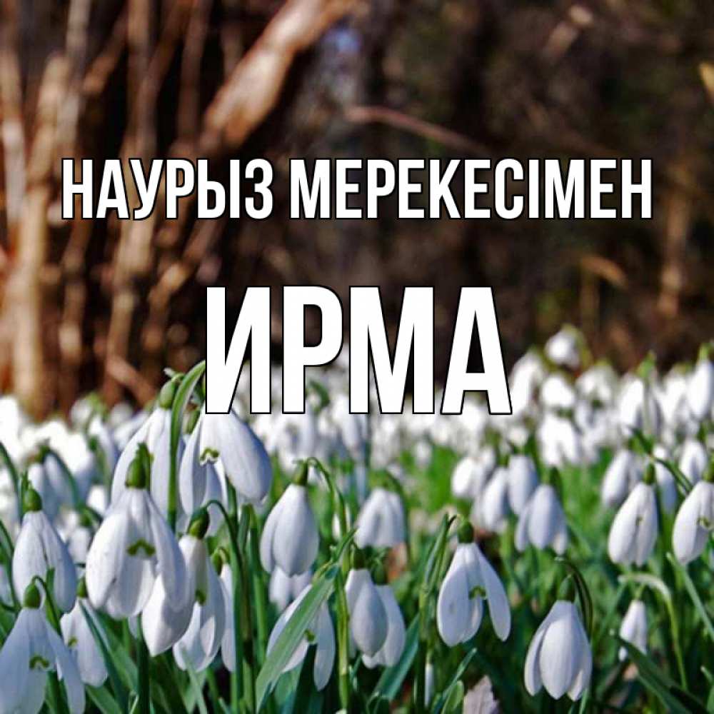 Күн сайын ашық хат с именем, Ирма Наурыз мерекесімен с подснежниками 1 Онлайн тегін жүктеп алу тілектері бар керемет карта 