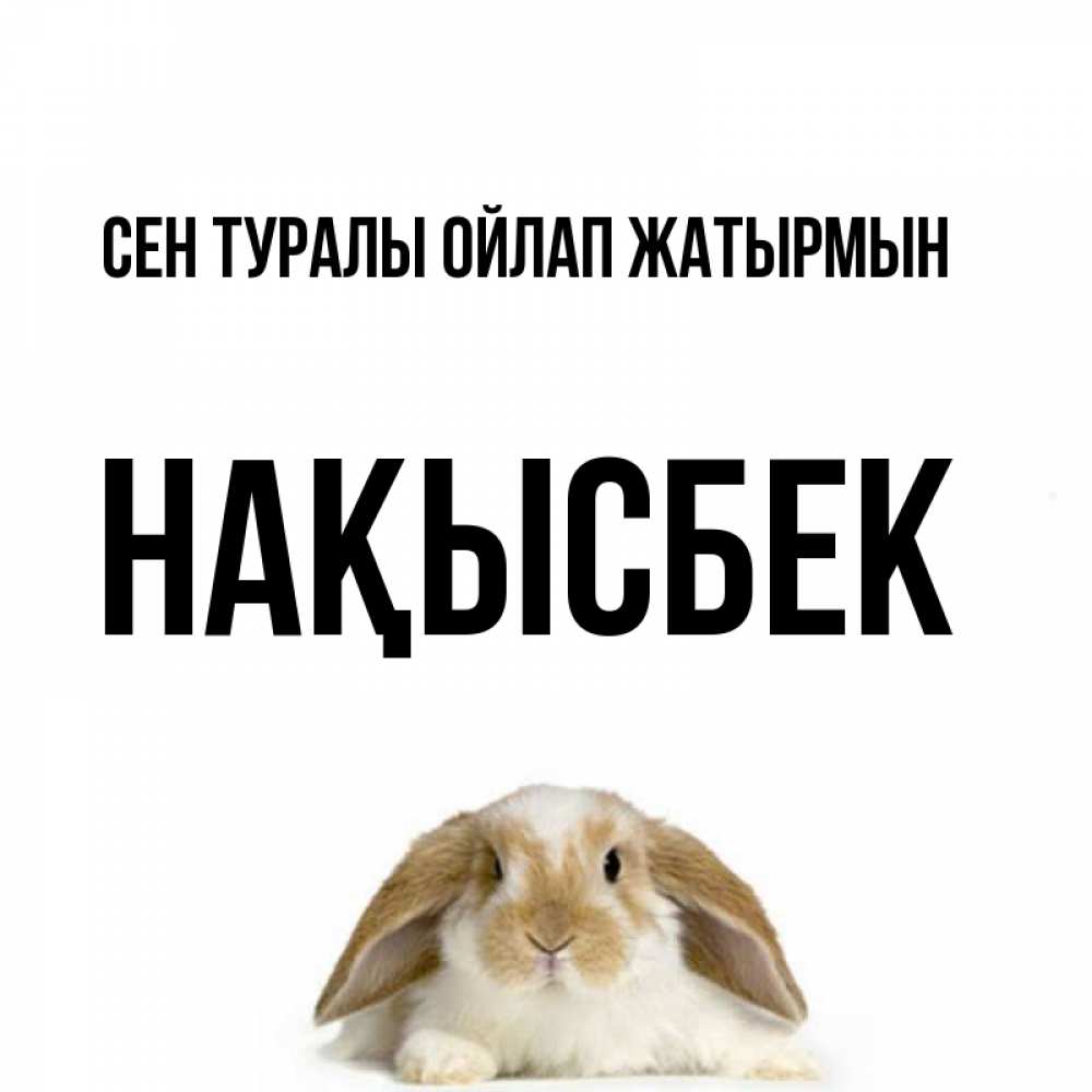 Күн сайын ашық хат с именем, НАҚЫСБЕК Сен туралы ойлап жатырмын подписать своими руками онлайн Онлайн тегін жүктеп алу тілектері бар керемет карта 