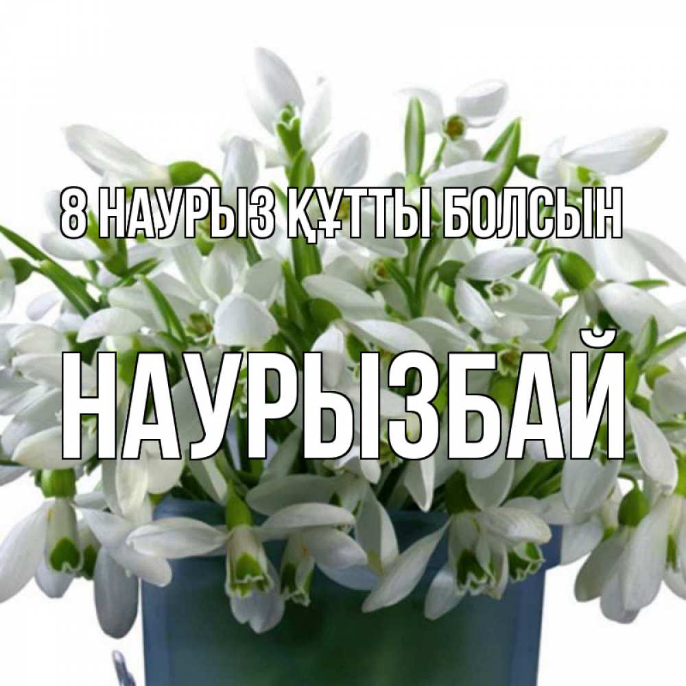 Күн сайын ашық хат с именем, Наурызбай 8 наурыз құтты болсын цветы к международному женскому дню Онлайн тегін жүктеп алу тілектері бар керемет карта 