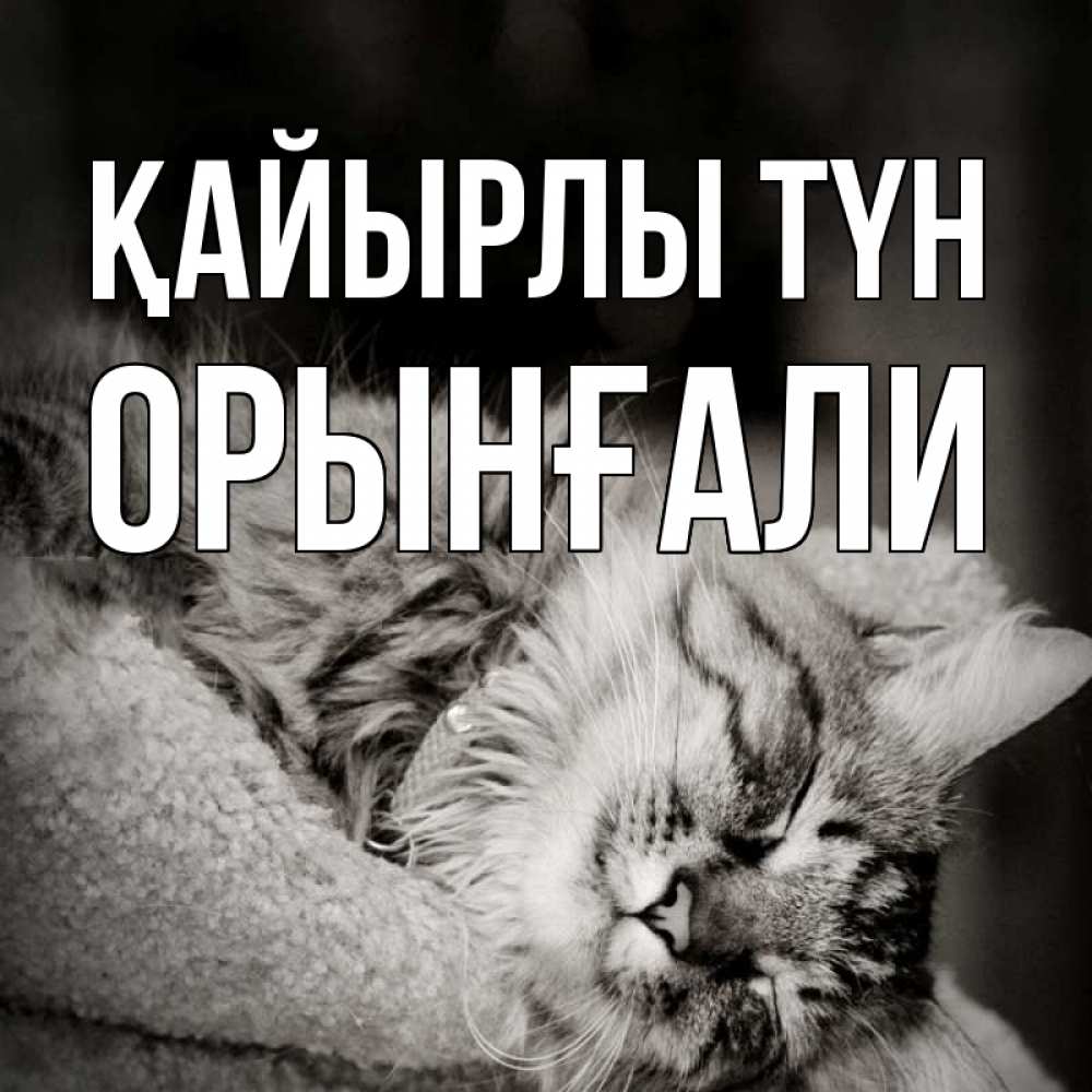 Күн сайын ашық хат с именем, ОРЫНҒАЛИ Қайырлы түн котярик пушистый Онлайн тегін жүктеп алу тілектері бар керемет карта 