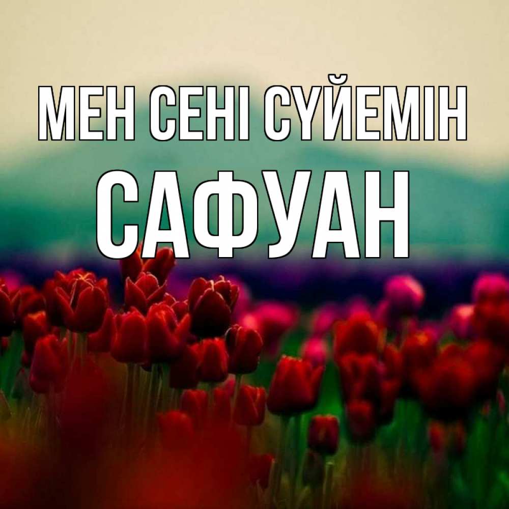 Күн сайын ашық хат с именем, САФУАН Мен сені сүйемін тюльпаны 4 Онлайн тегін жүктеп алу тілектері бар керемет карта 