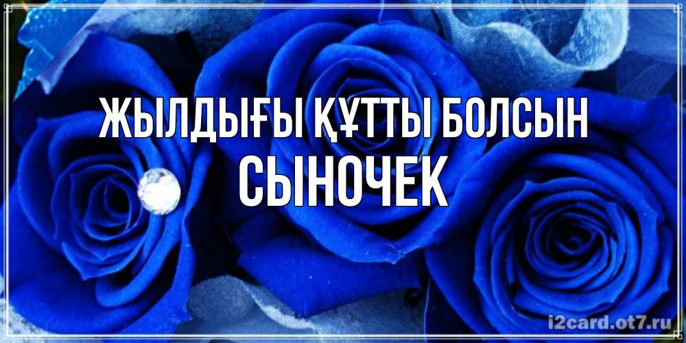 Күн сайын ашық хат с именем, Сыночек Жылдығы құтты болсын синие розы в росе Онлайн тегін жүктеп алу тілектері бар керемет карта 