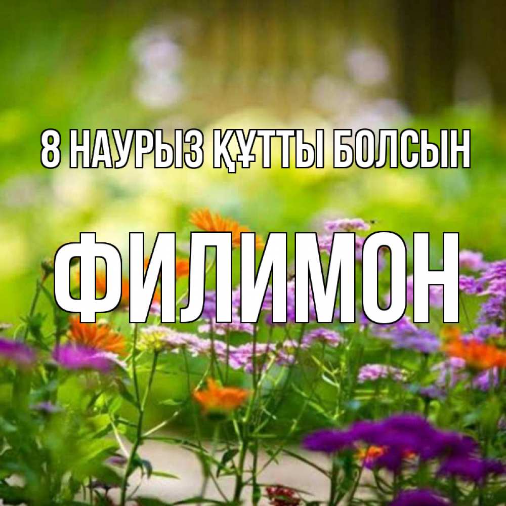 Күн сайын ашық хат с именем, Филимон 8 наурыз құтты болсын цветы Онлайн тегін жүктеп алу тілектері бар керемет карта 
