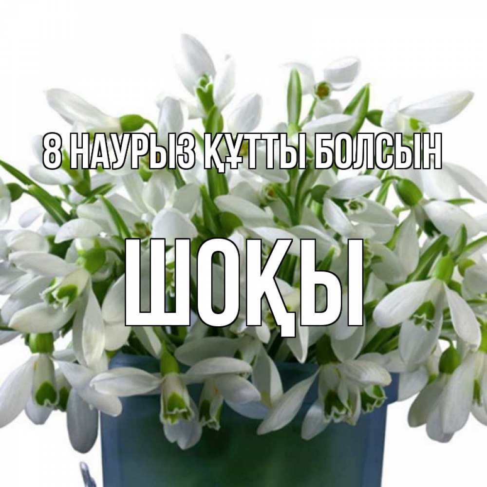 Күн сайын ашық хат с именем, ШОҚЫ 8 наурыз құтты болсын цветы к международному женскому дню Онлайн тегін жүктеп алу тілектері бар керемет карта 