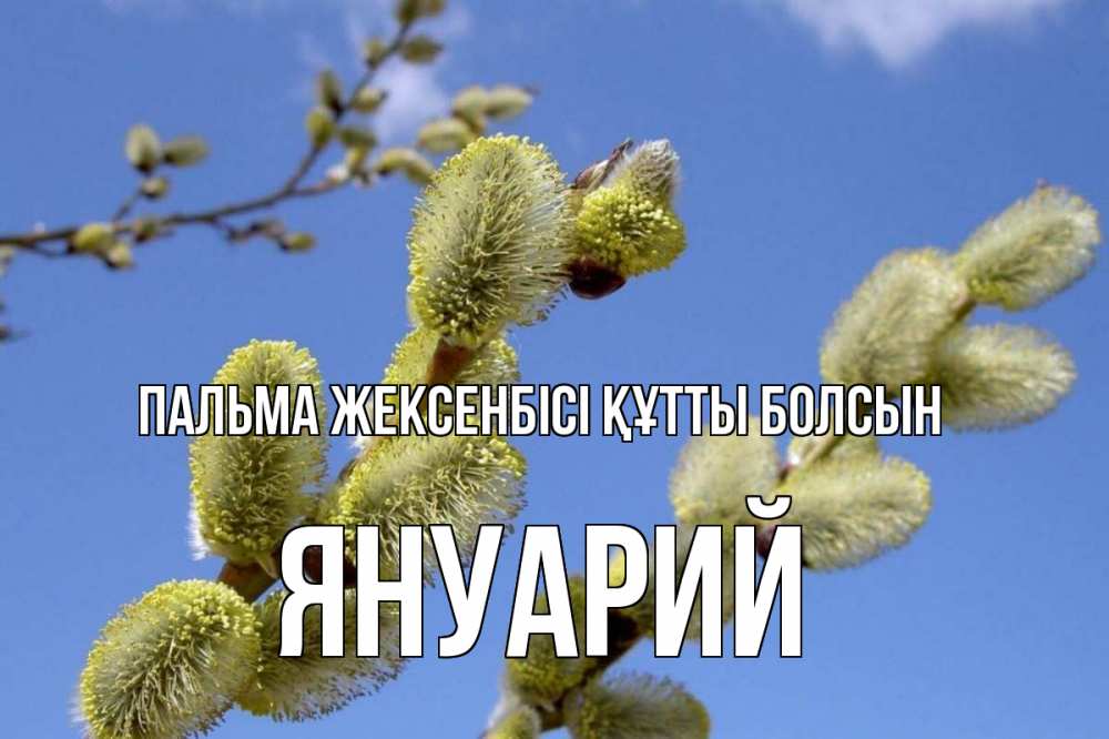 Күн сайын ашық хат с именем, Януарий Пальма жексенбісі құтты болсын верба Онлайн тегін жүктеп алу тілектері бар керемет карта 