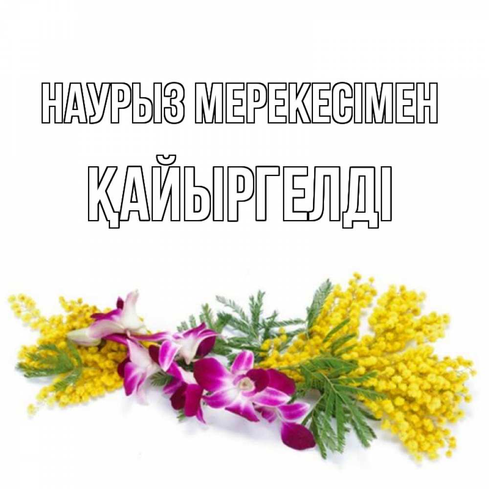 Күн сайын ашық хат с именем, Қайыргелді Наурыз мерекесімен открытка на международный женский день с цветами  1 Онлайн тегін жүктеп алу тілектері бар керемет карта 
