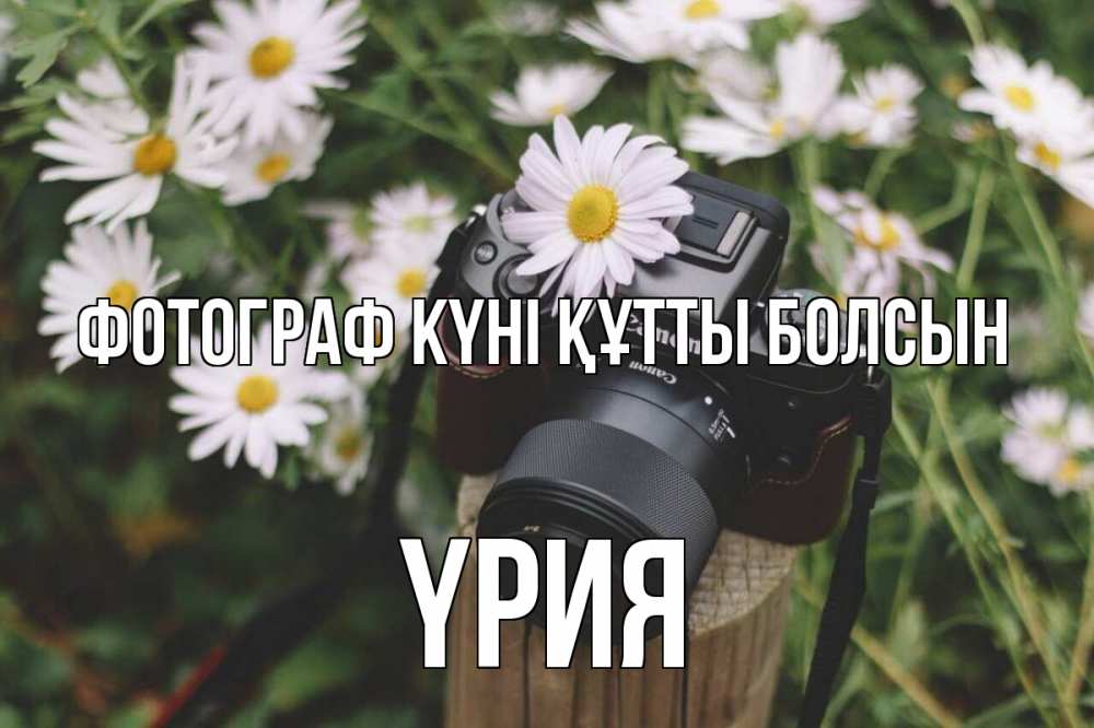 Күн сайын ашық хат с именем, ҮРИЯ Фотограф күні құтты болсын с днем фотографа Онлайн тегін жүктеп алу тілектері бар керемет карта 