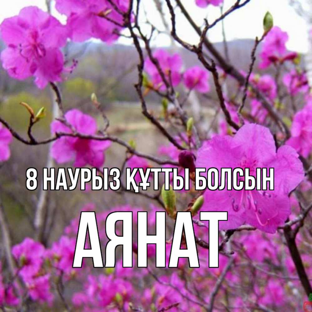 Күн сайын ашық хат с именем, АЯНАТ 8 наурыз құтты болсын международный женский день Онлайн тегін жүктеп алу тілектері бар керемет карта 