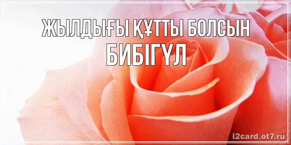 Күн сайын ашық хат с именем, БИБІГҮЛ Жылдығы құтты болсын розы для поздравления с днем рождения Онлайн тегін жүктеп алу тілектері бар керемет карта 