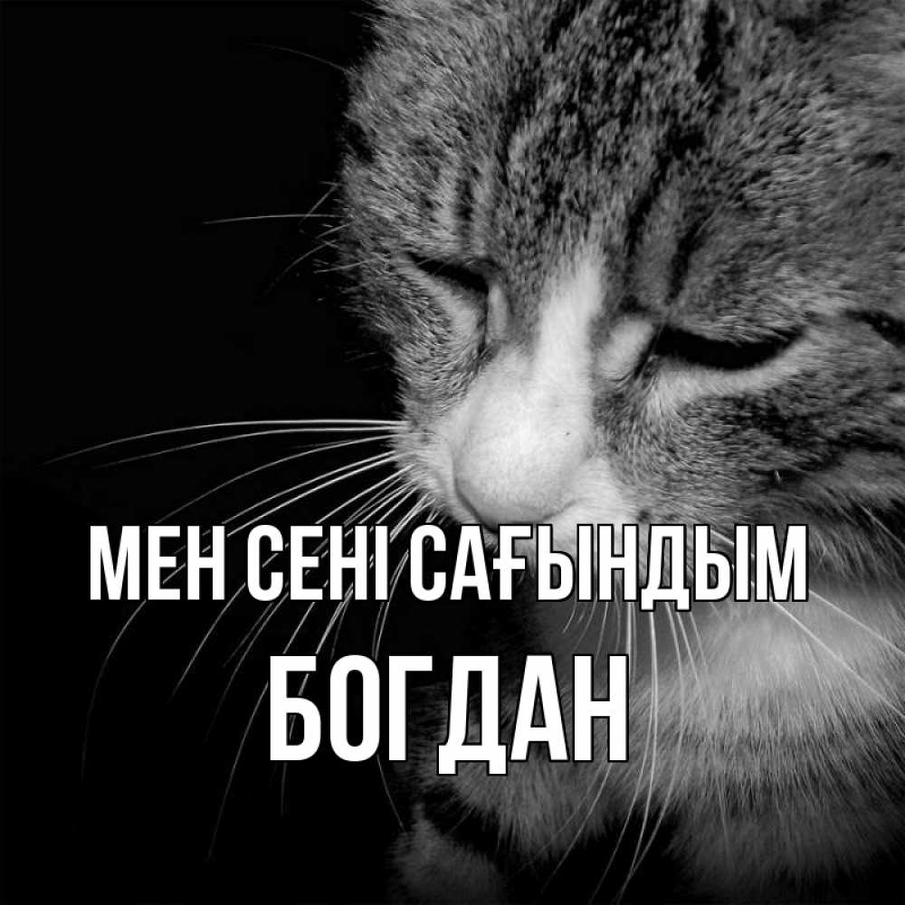 Күн сайын ашық хат с именем, Богдан Мен сені сағындым мне скучно Онлайн тегін жүктеп алу тілектері бар керемет карта 