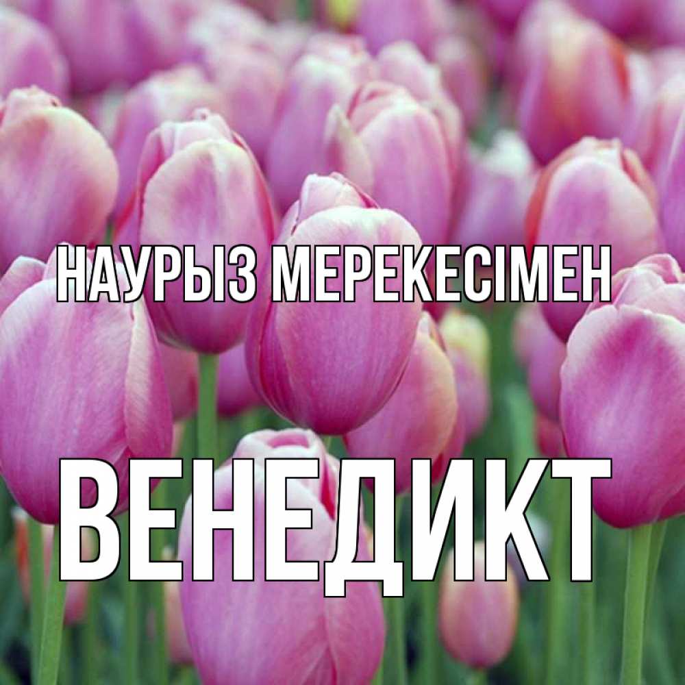 Күн сайын ашық хат с именем, Венедикт Наурыз мерекесімен праздник весны наурыз 69 Онлайн тегін жүктеп алу тілектері бар керемет карта 