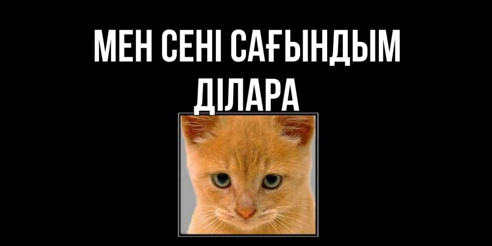 Күн сайын ашық хат с именем, ДІЛАРА Мен сені сағындым открытки рыжий котенок скучает по тебе Онлайн тегін жүктеп алу тілектері бар керемет карта 
