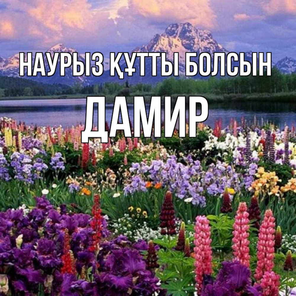 Күн сайын ашық хат с именем, Дамир Наурыз құтты болсын наурыз Онлайн тегін жүктеп алу тілектері бар керемет карта 
