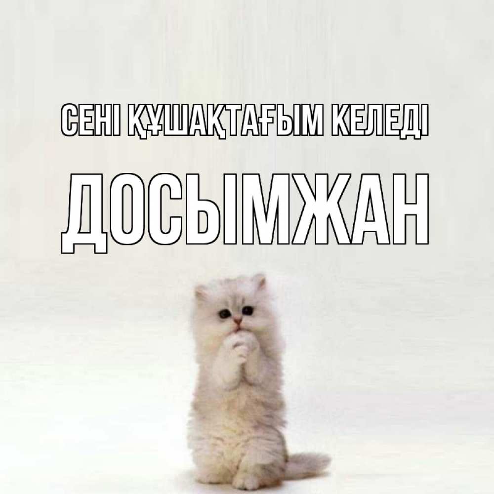 Күн сайын ашық хат с именем, Досымжан сені құшақтағым келеді открытки с креативными подписями Онлайн тегін жүктеп алу тілектері бар керемет карта 