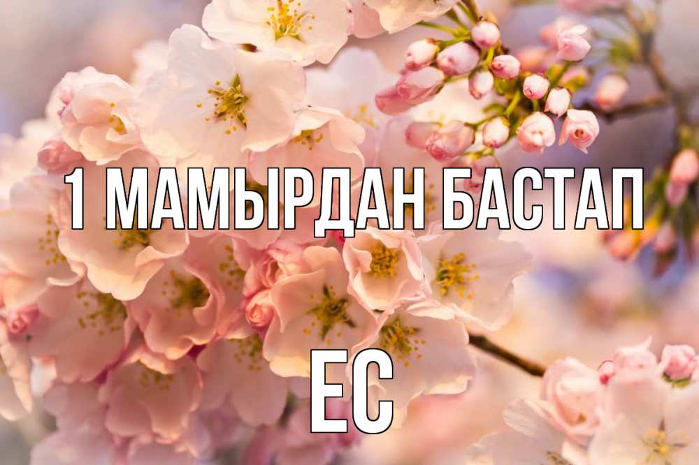 Күн сайын ашық хат с именем, Ес 1 мамырдан бастап С 1 мая Онлайн тегін жүктеп алу тілектері бар керемет карта 