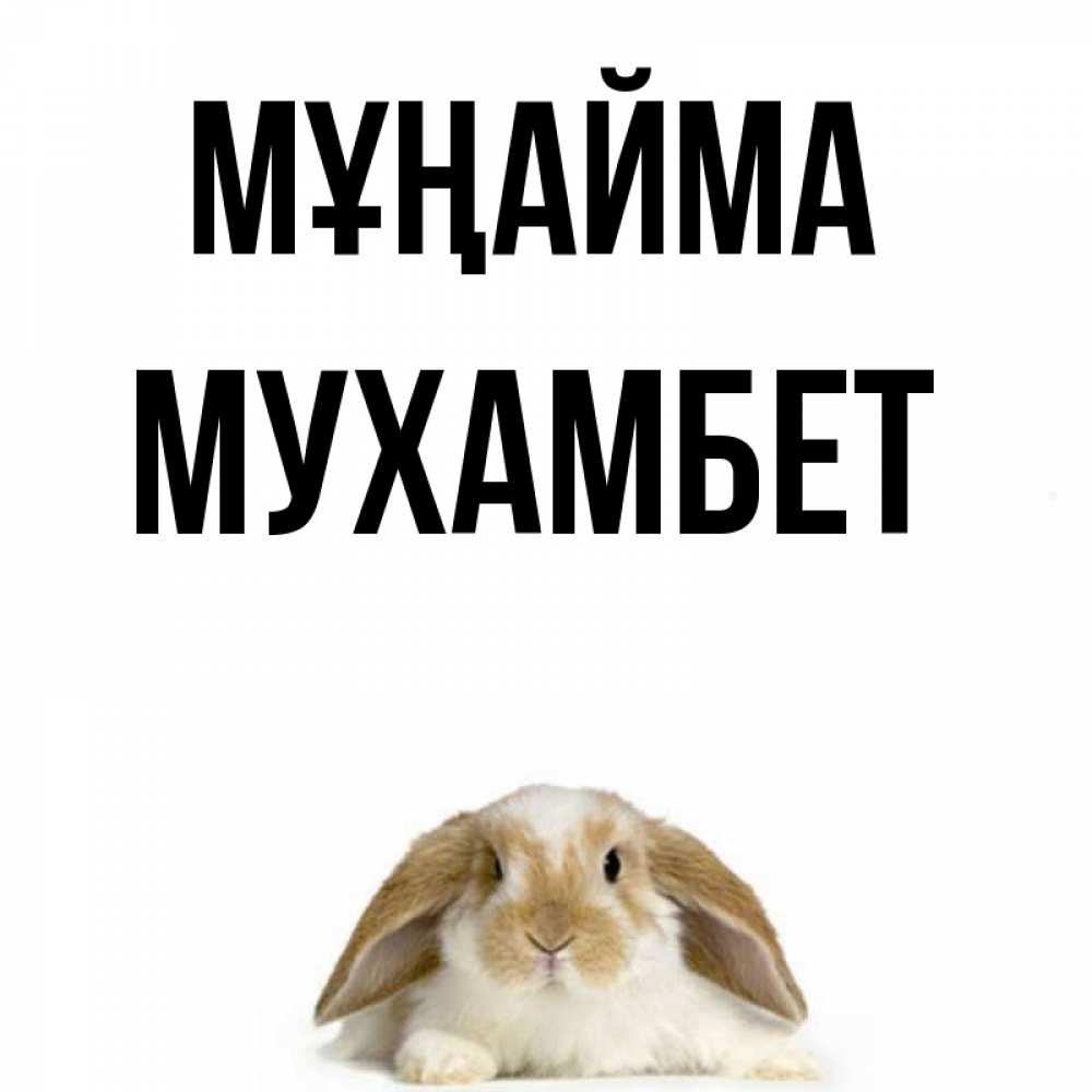 Күн сайын ашық хат с именем, МУХАМБЕТ Мұңайма коричнево белый заяц с большими ушками Онлайн тегін жүктеп алу тілектері бар керемет карта 