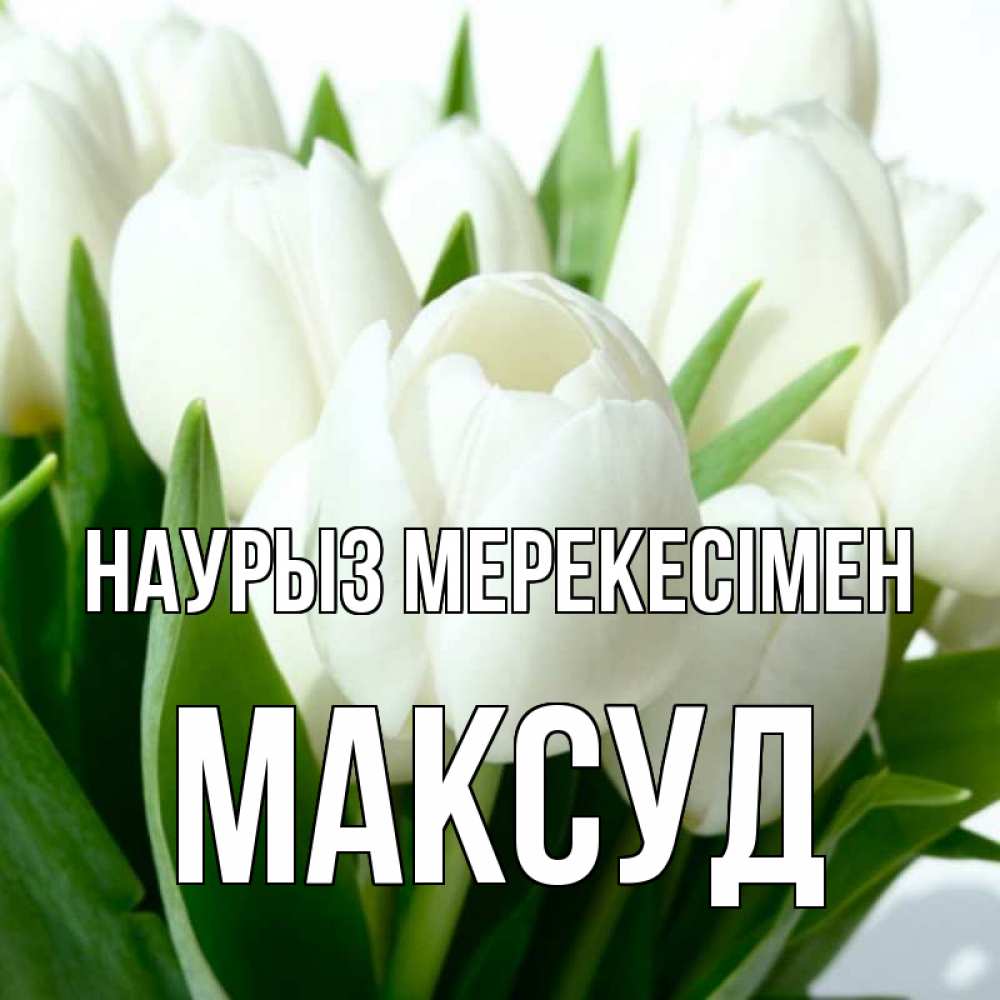 Күн сайын ашық хат с именем, Максуд Наурыз мерекесімен цветы Онлайн тегін жүктеп алу тілектері бар керемет карта 