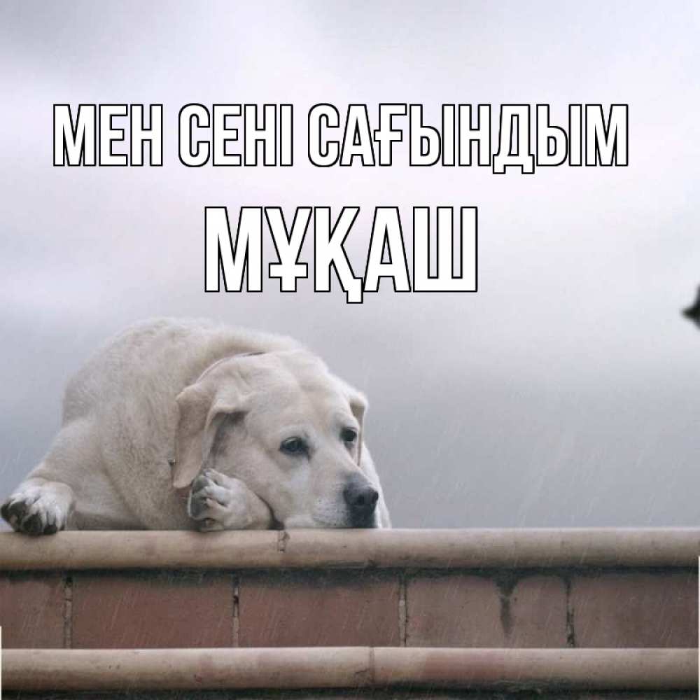 Күн сайын ашық хат с именем, Мұқаш Мен сені сағындым ждет Онлайн тегін жүктеп алу тілектері бар керемет карта 