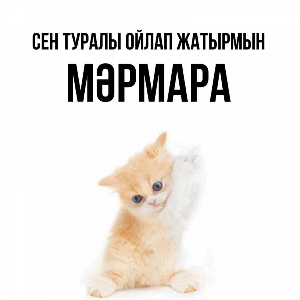 Күн сайын ашық хат с именем, МӘРМАРА Сен туралы ойлап жатырмын зверушки и милота Онлайн тегін жүктеп алу тілектері бар керемет карта 