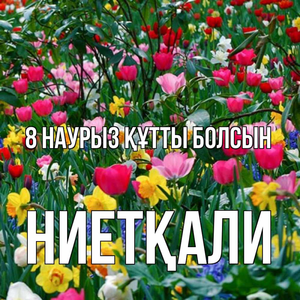 Күн сайын ашық хат с именем, НИЕТҚАЛИ 8 наурыз құтты болсын с международным женским днем поздравления для женщины Онлайн тегін жүктеп алу тілектері бар керемет карта 