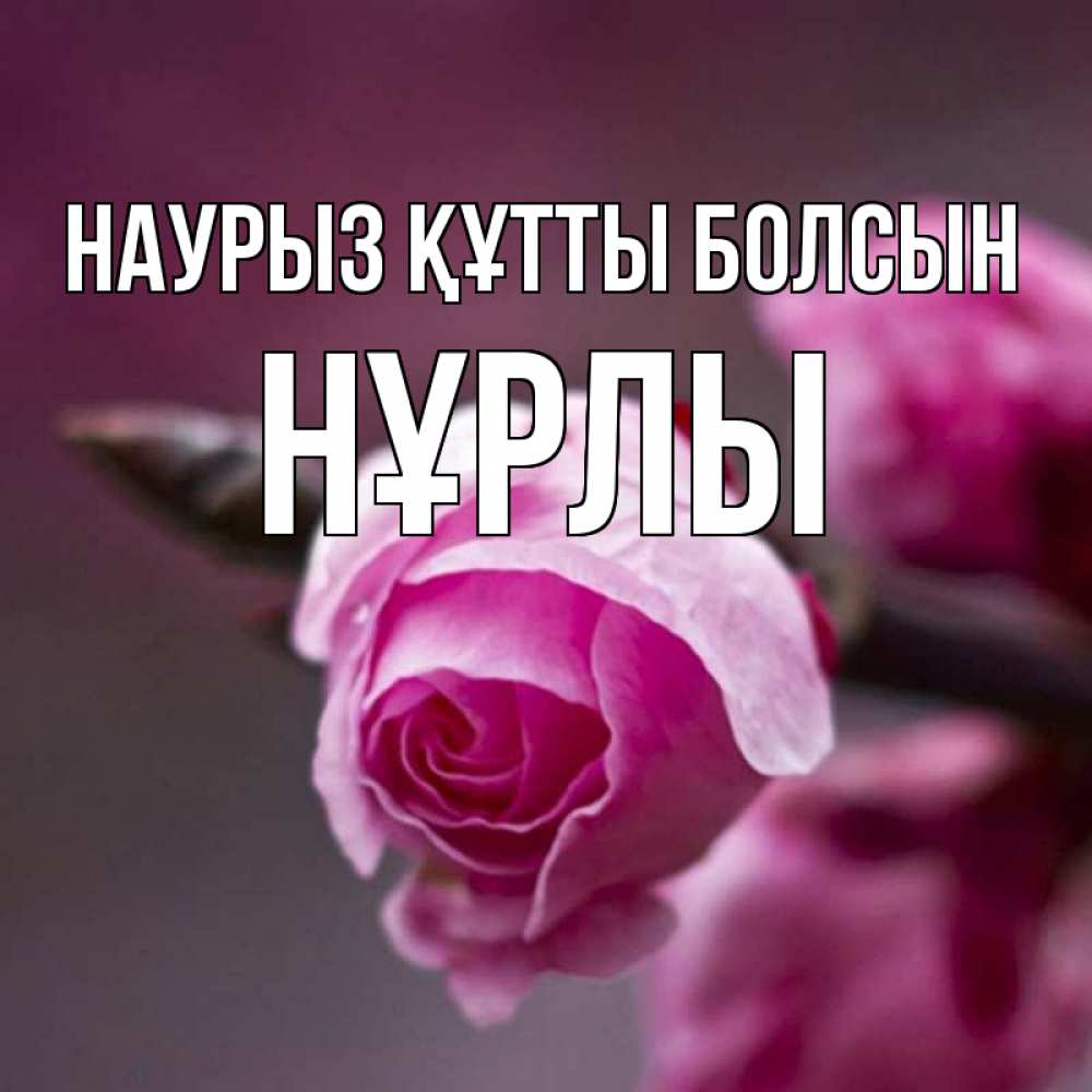 Күн сайын ашық хат с именем, НҰРЛЫ Наурыз құтты болсын весна Онлайн тегін жүктеп алу тілектері бар керемет карта 