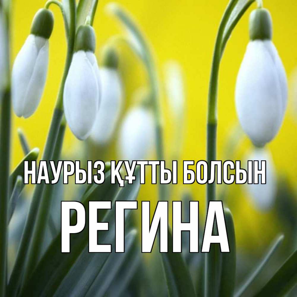 Күн сайын ашық хат с именем, Регина Наурыз құтты болсын весенние цветы Онлайн тегін жүктеп алу тілектері бар керемет карта 