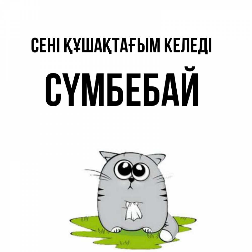 Күн сайын ашық хат с именем, СҮМБЕБАЙ сені құшақтағым келеді котик теребит платочек сидя на травке Онлайн тегін жүктеп алу тілектері бар керемет карта 