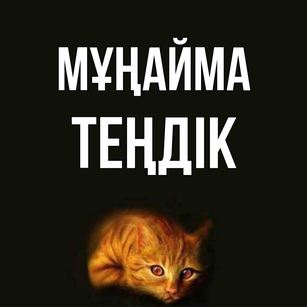 Күн сайын ашық хат с именем, ТЕҢДІК Мұңайма лежащий кот в темноте Онлайн тегін жүктеп алу тілектері бар керемет карта 