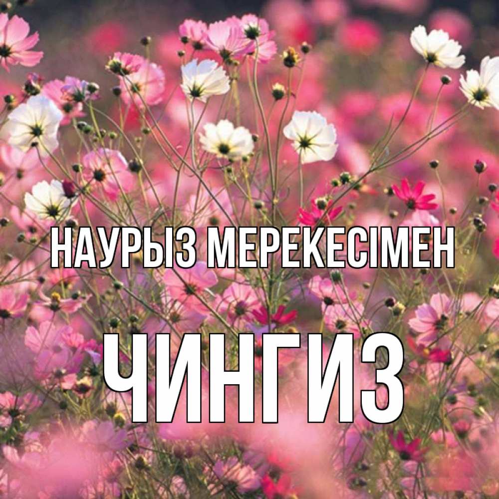Күн сайын ашық хат с именем, Чингиз Наурыз мерекесімен красиво 1 Онлайн тегін жүктеп алу тілектері бар керемет карта 