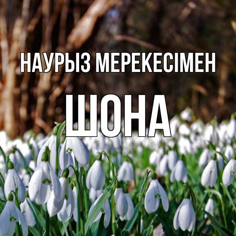 Күн сайын ашық хат с именем, ШОНА Наурыз мерекесімен с подснежниками 1 Онлайн тегін жүктеп алу тілектері бар керемет карта 