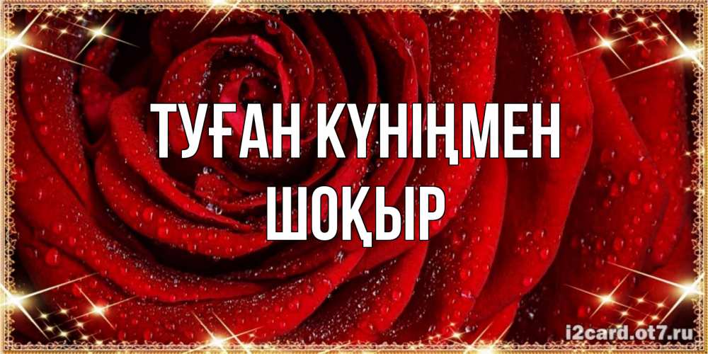 Күн сайын ашық хат с именем, ШОҚЫР Туған күніңмен роса на розе блестящая в лучах солнца Онлайн тегін жүктеп алу тілектері бар керемет карта 