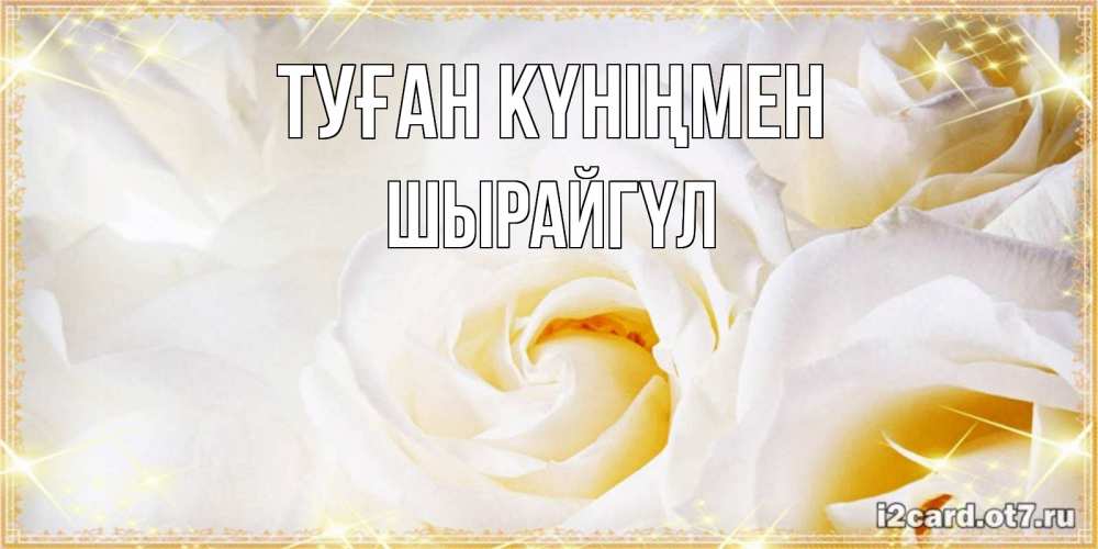 Күн сайын ашық хат с именем, ШЫРАЙГҮЛ Туған күніңмен красивые розы и капли росы на этих чудесных цветах Онлайн тегін жүктеп алу тілектері бар керемет карта 