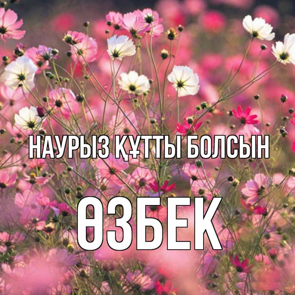 Күн сайын ашық хат с именем, ӨЗБЕК Наурыз құтты болсын красиво 1 Онлайн тегін жүктеп алу тілектері бар керемет карта 
