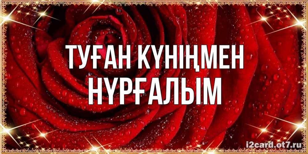 Күн сайын ашық хат с именем, НҮРҒАЛЫМ Туған күніңмен роса на розе блестящая в лучах солнца Онлайн тегін жүктеп алу тілектері бар керемет карта 