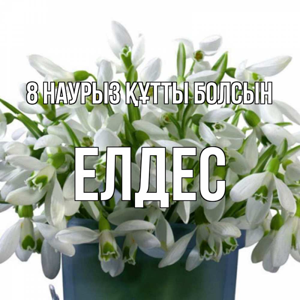 Күн сайын ашық хат с именем, Елдес 8 наурыз құтты болсын цветы к международному женскому дню Онлайн тегін жүктеп алу тілектері бар керемет карта 
