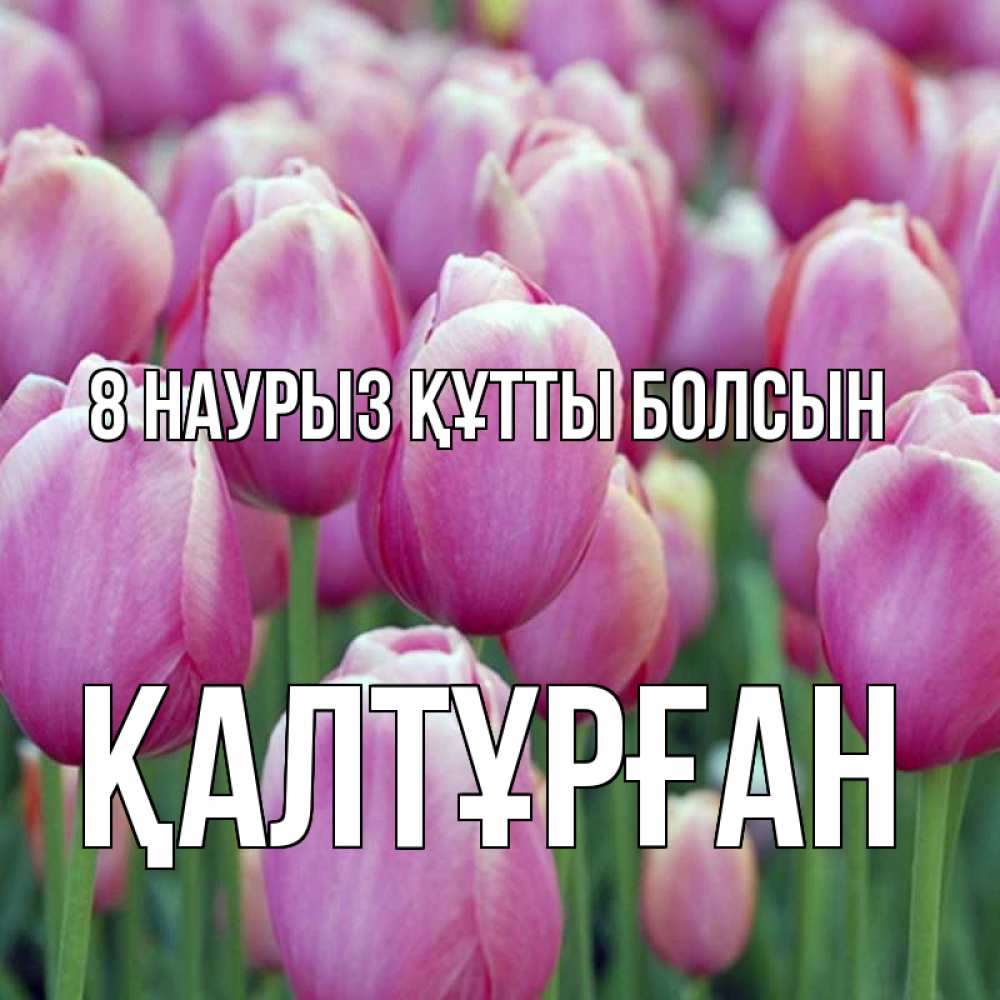 Күн сайын ашық хат с именем, ҚАЛТҰРҒАН 8 наурыз құтты болсын на международный женский день 3 Онлайн тегін жүктеп алу тілектері бар керемет карта 