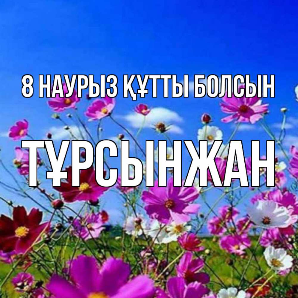 Күн сайын ашық хат с именем, ТҰРСЫНЖАН 8 наурыз құтты болсын цветы Онлайн тегін жүктеп алу тілектері бар керемет карта 