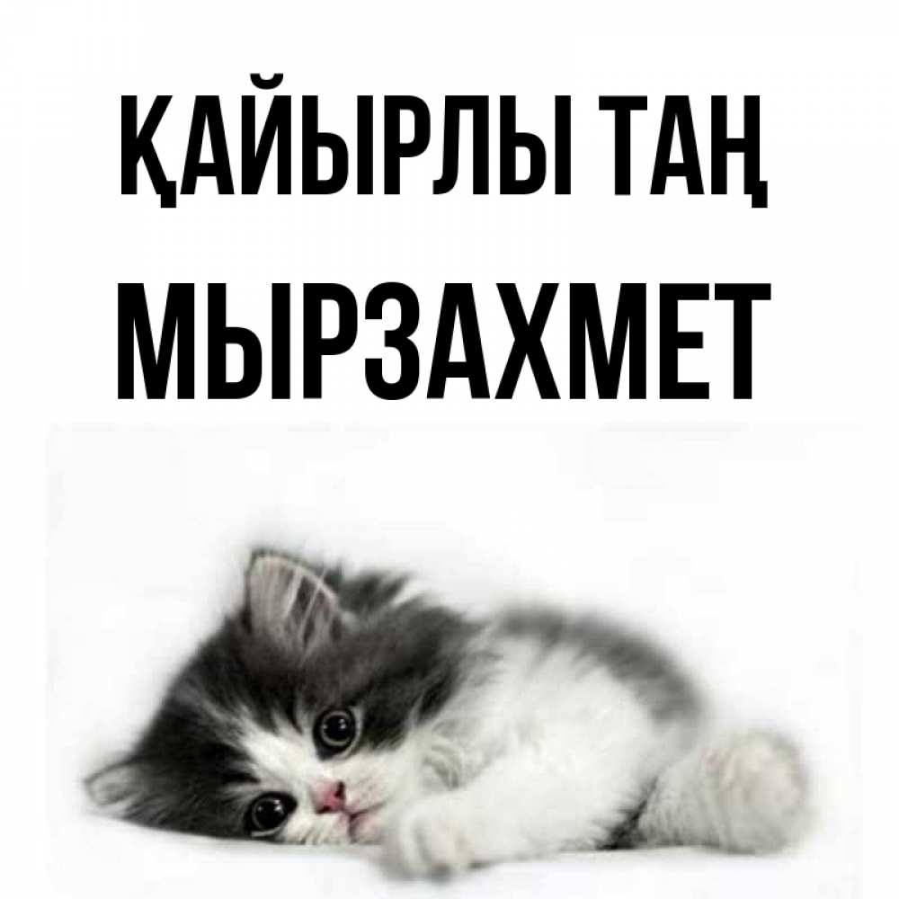 Күн сайын ашық хат с именем, МЫРЗАХМЕТ Қайырлы таң кот лапки Онлайн тегін жүктеп алу тілектері бар керемет карта 